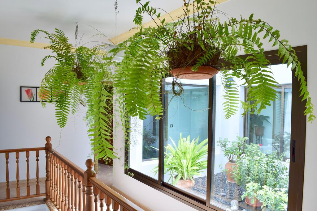 ヤイサ Casa Lavaヴィラ エクステリア 写真